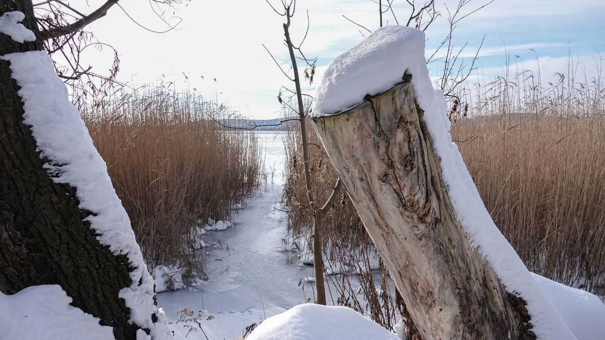 Időjárás Veszprém térségében: lesz, ahol kisüt a nap, máshol extrém hideg várható