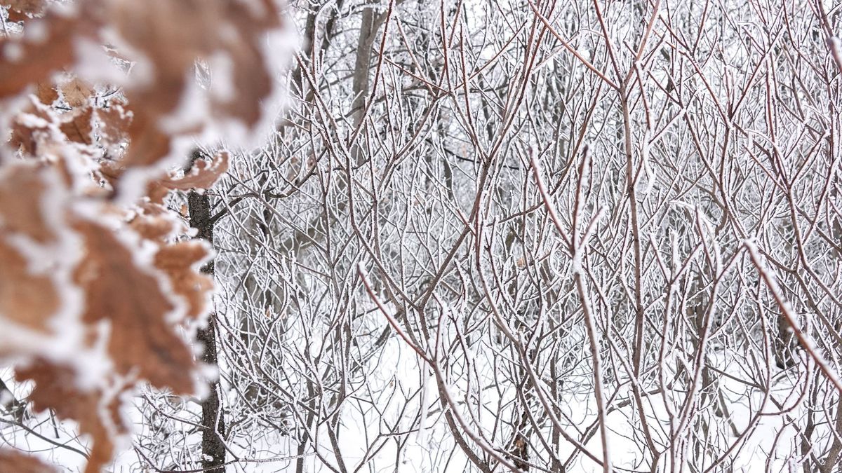 Hó, köd, csúszós utak: nehéz nap vár ránk pénteken
