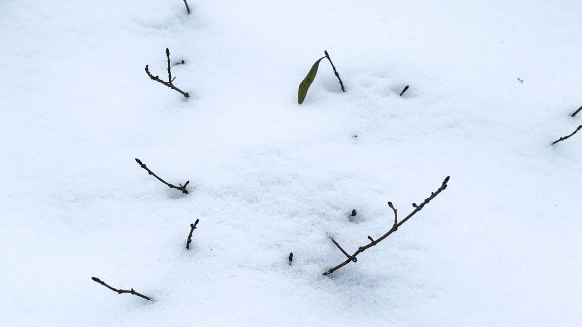 Havas napra ébredünk szerdán is, de ennyivel nem ússzuk meg