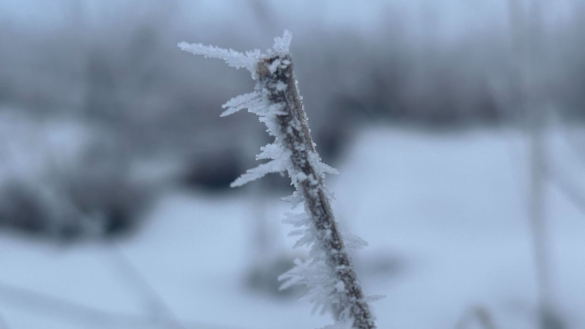 A fagy és a köd szorításában: délután néhol előbújhat a nap, de éjjel brutális mínuszok jönnek