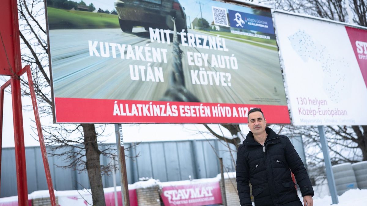 Felelős gondolkodásra késztetnek a Közös ügyünk az állatvédelem Alapítvány plakátjai