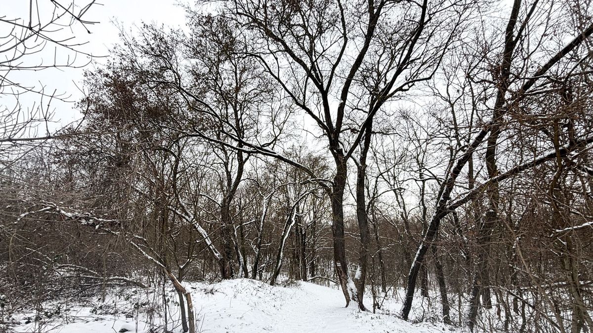 Riasztás van érvényben: brutális hótakaró érkezhet délután