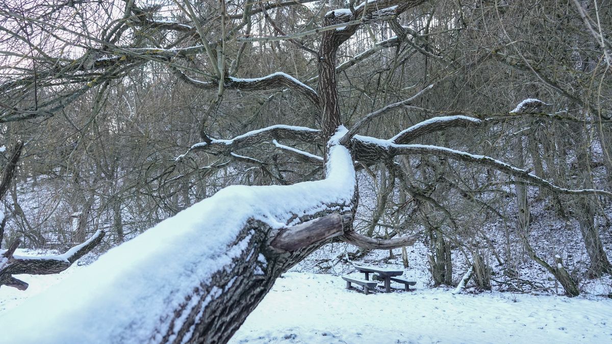 Kutya hidegre ébredtek a Bakonyban, újabb rekord dőlt meg