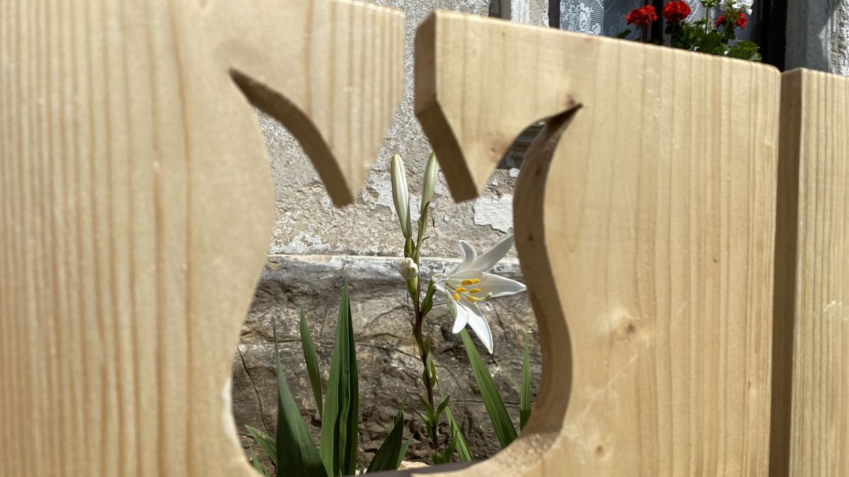 Földrajzi kvíz: Nagy bakonyi teszt kis falvak gyöngyszemeiről, felismered ezeket a kincseket?