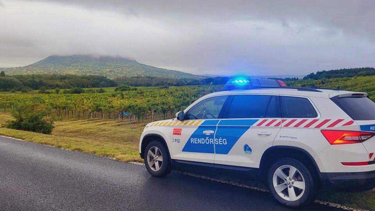 Őrjöngő balhé Balatonalmádiban: harapott, ütött, végül lefogták a 23 éves nőt
