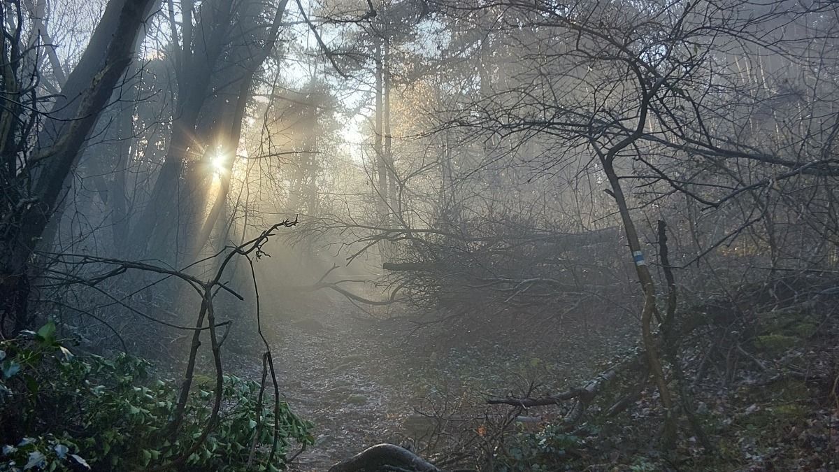 Megújult ösvények, lezárt pihenő: fontos változások a Szent György-hegyen