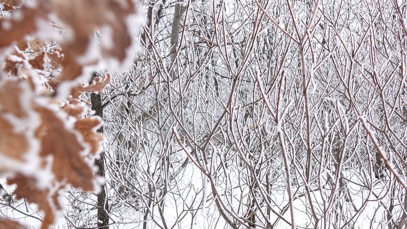 Hó, köd, csúszós utak: nehéz nap vár ránk pénteken Kép