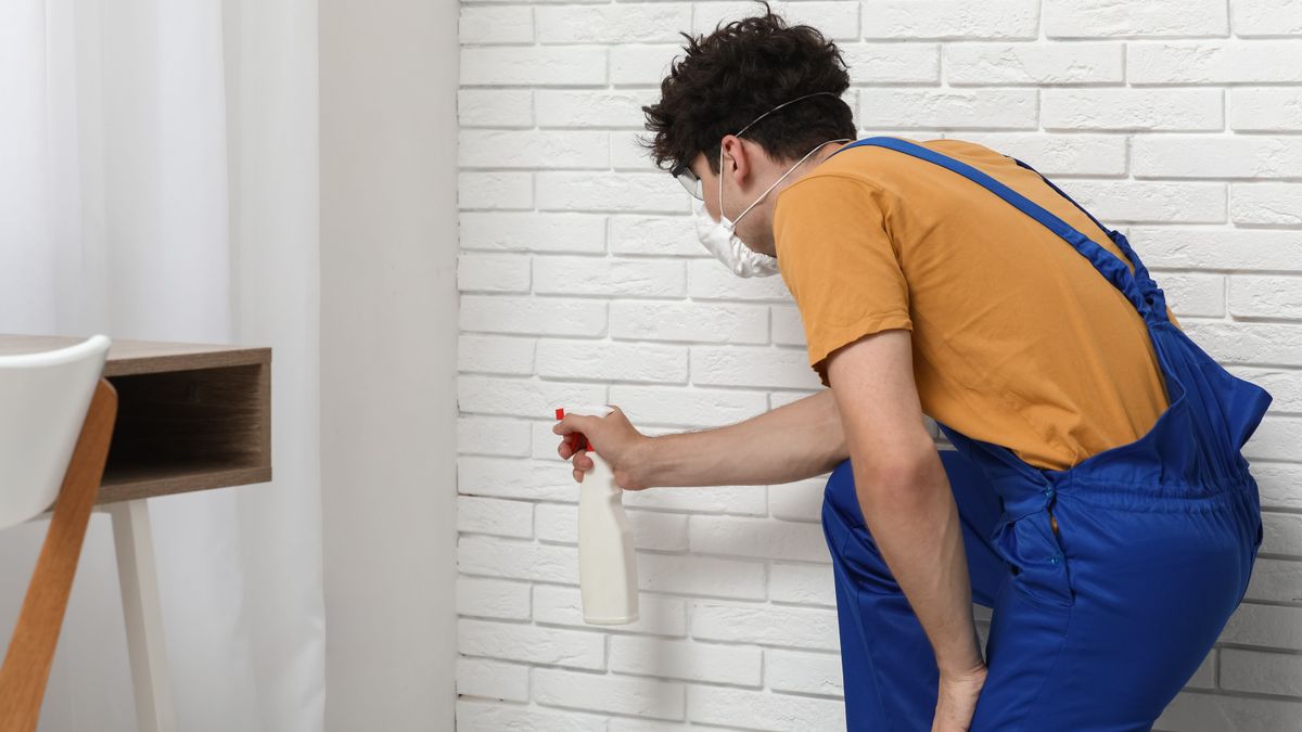 Mutatjuk, hogy lesz penészmentes a lakás