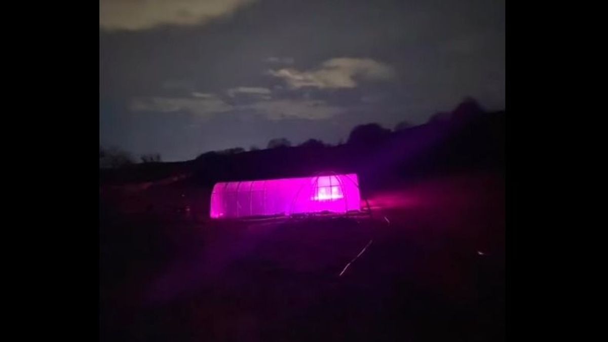 Bakonyi ufóészlelés: többen megijedtek az esti lila fény miatt, utánajártunk a zöld titoknak (videó)