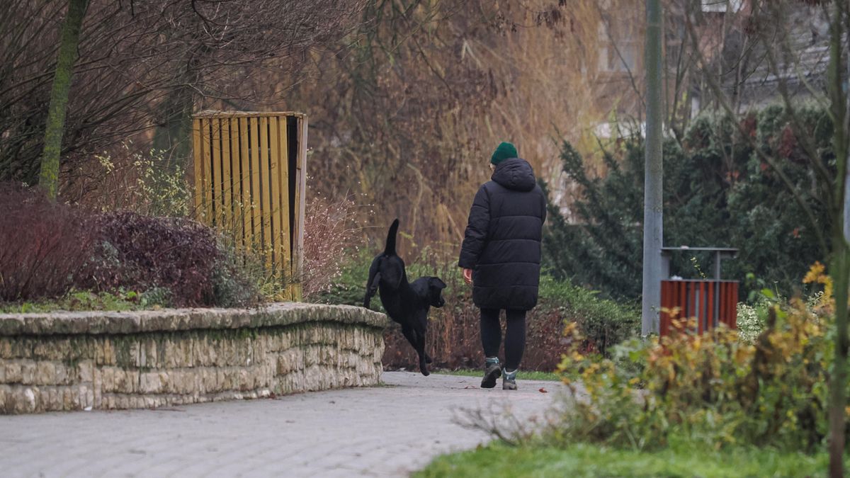 Zivatar is jöhet: kemény hétkezdés vár ránk