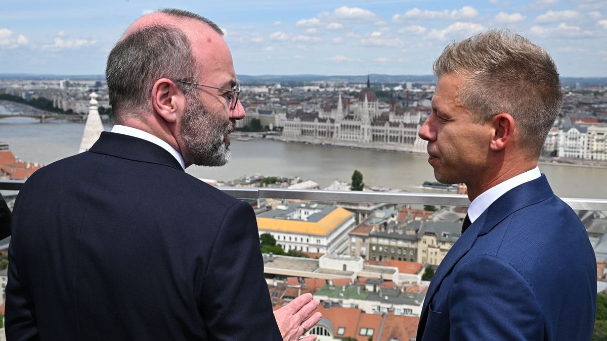 Felmérés: Magyar Péter kockázatos választás lenne