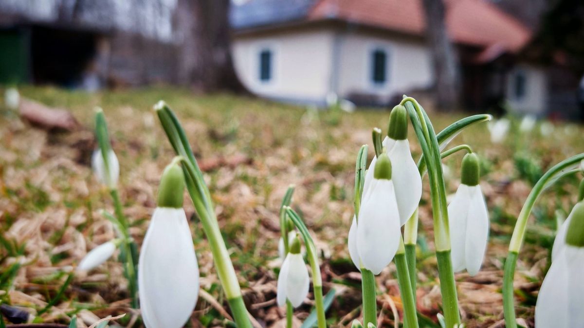 Földrajzi kvíz: Meseszép tavaszhangulatú túracélpontok a Bakonyban – Hányat ismersz fel?