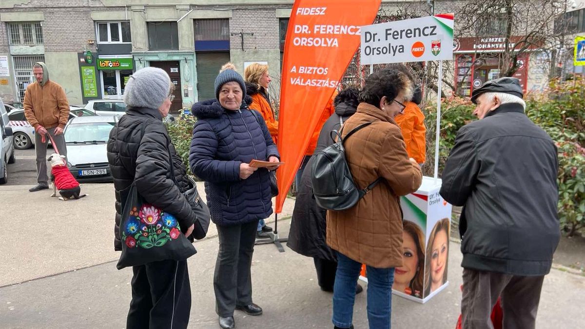 Súlyos büntetést kaphat a fideszes aktivista támadója