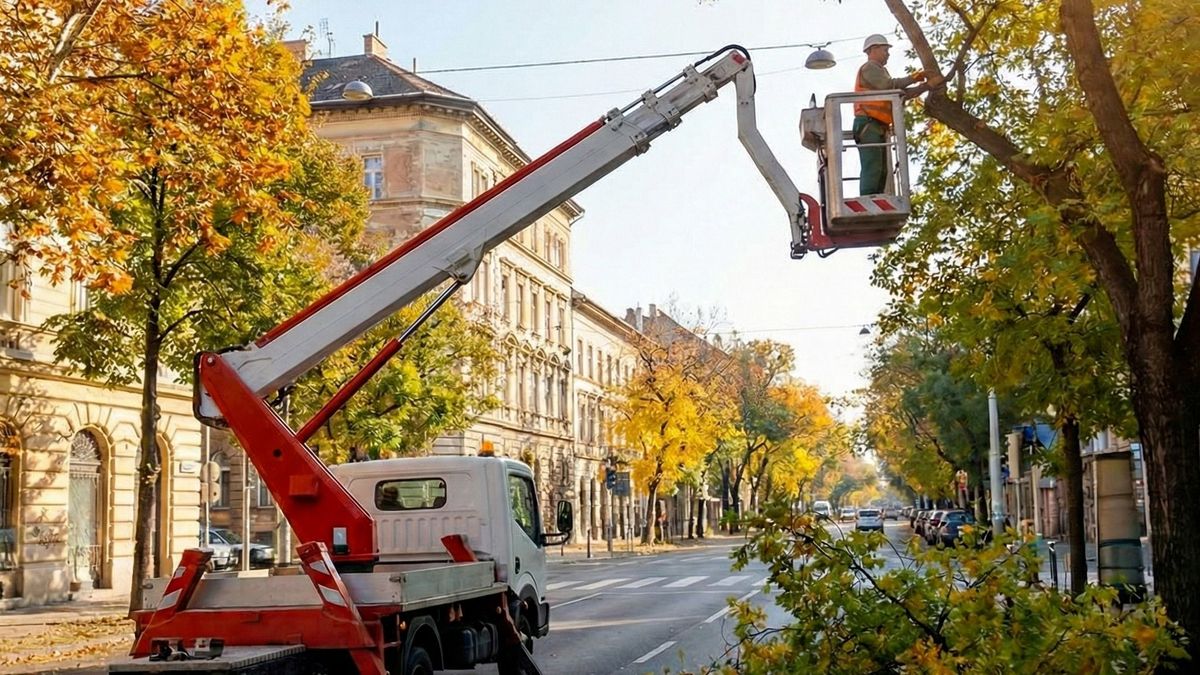 Troják Power Technika Kft. – Ahol a magasság nem akadály!