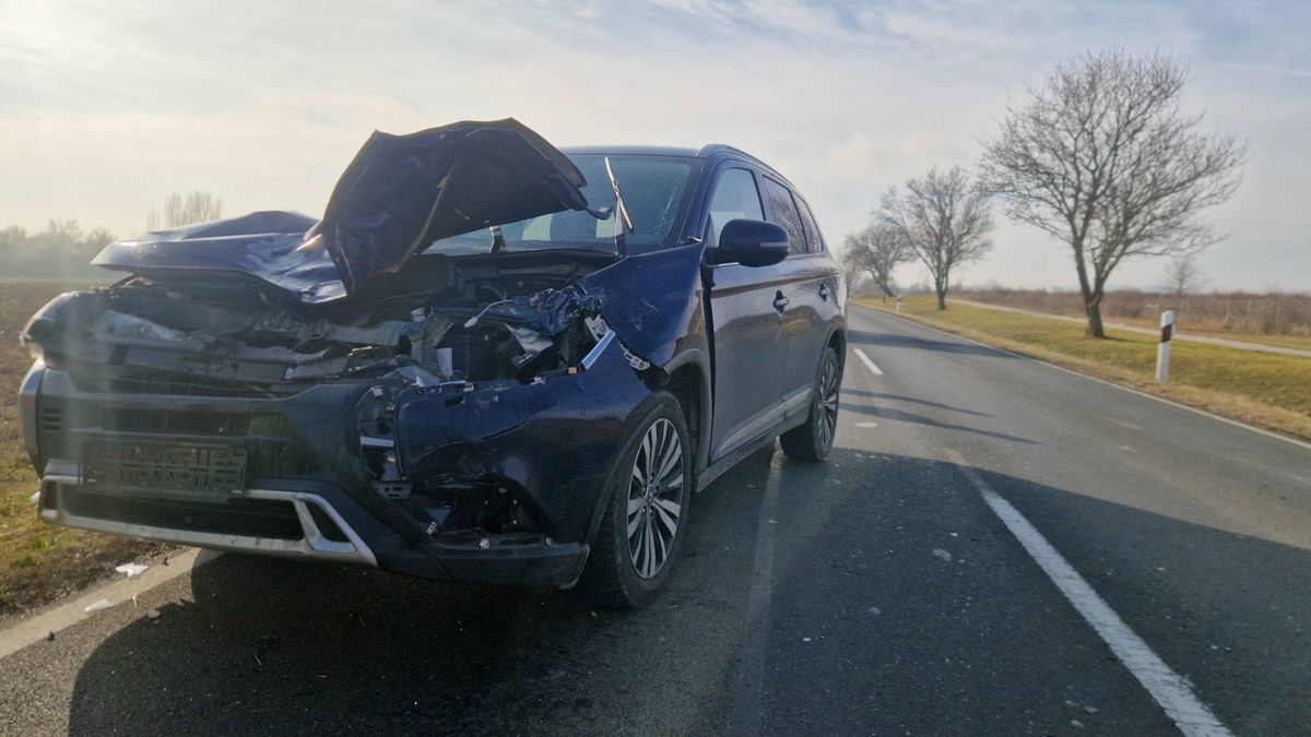 Helyszíni fotók a 71-es úton történt vadgázolásos balesetről
