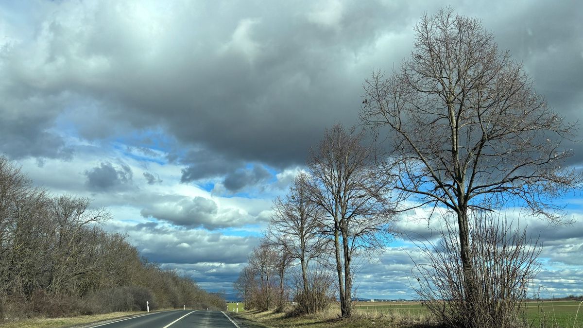 Megélénkül a szél, estére csapadék érkezhet Veszprém térségébe