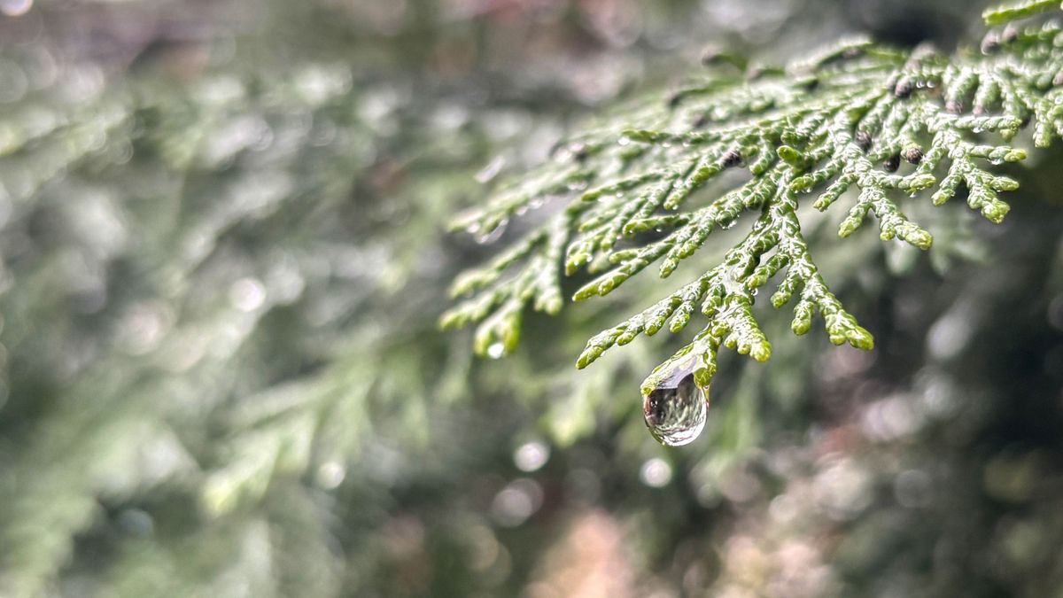 Változékony idő, csapadék és szél is jöhet: mutatjuk, milyen idő lesz holnap Veszprémben