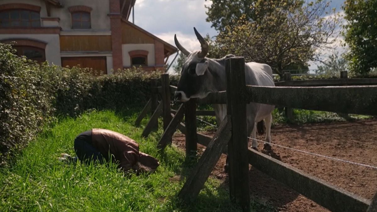 Lelki utazásra küldték Aureliót – különleges helyszínen folytatódott az Eskü, megváltozom! hetedik része