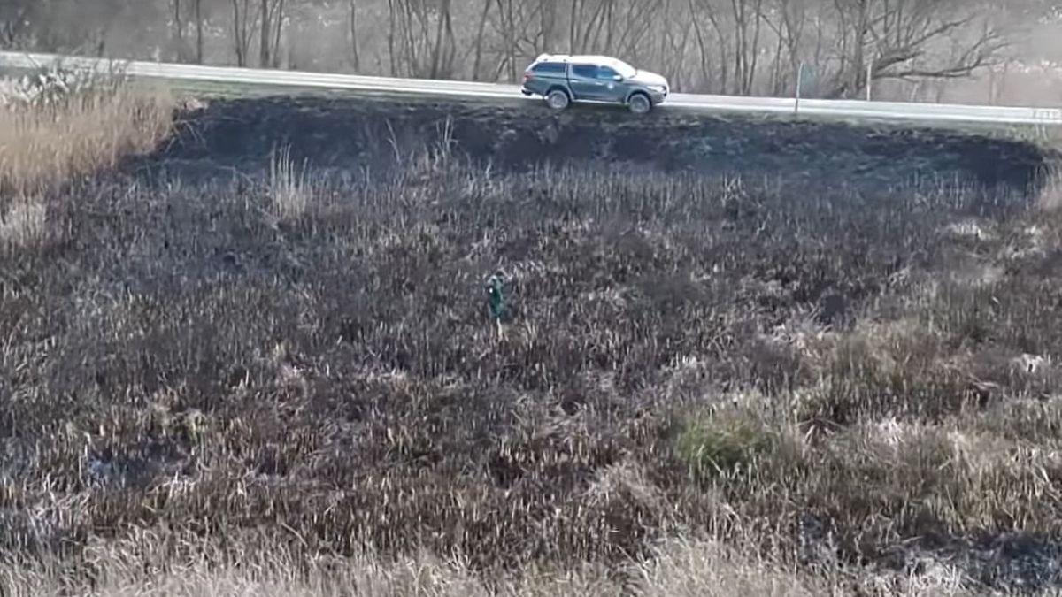40 hektárnyi nádas vált hamuvá a Balatonnál, drámai videón a pusztítás nyomai
