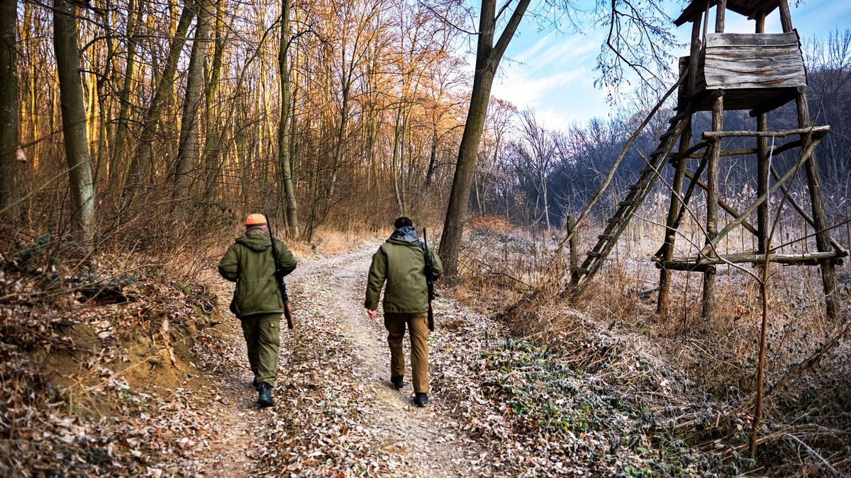 Páratlan dologra bukkantak a vadászok: egyetlen ember hagyatéka lehet a 40 darabos lelet