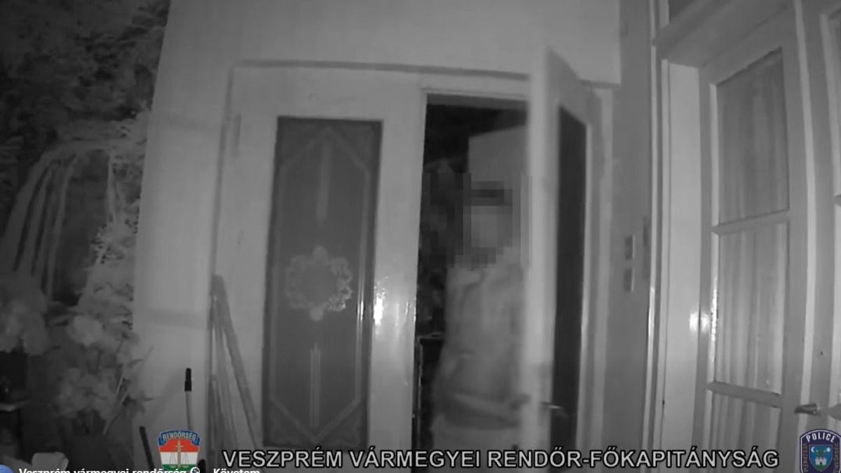 Videón a pápai gumitolvaj: sorozatban vitte el a gumiabroncsokat a telephelyről