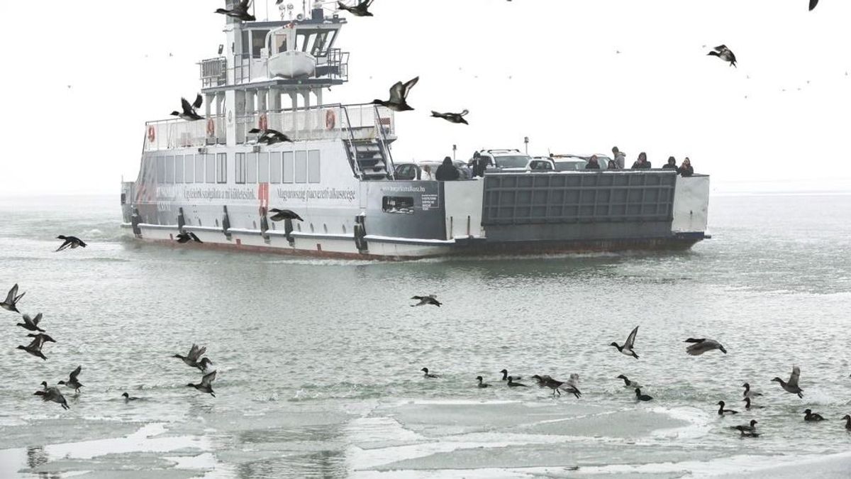 Balaton: nem a vízszint, hanem a hőmérséklet és a sótartalom a valódi kihívás