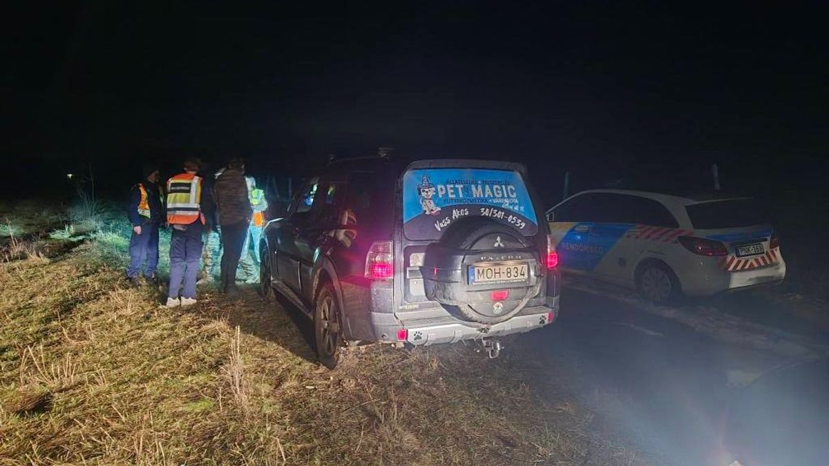 Holtan találták meg az eltűnt várpalotai személyt