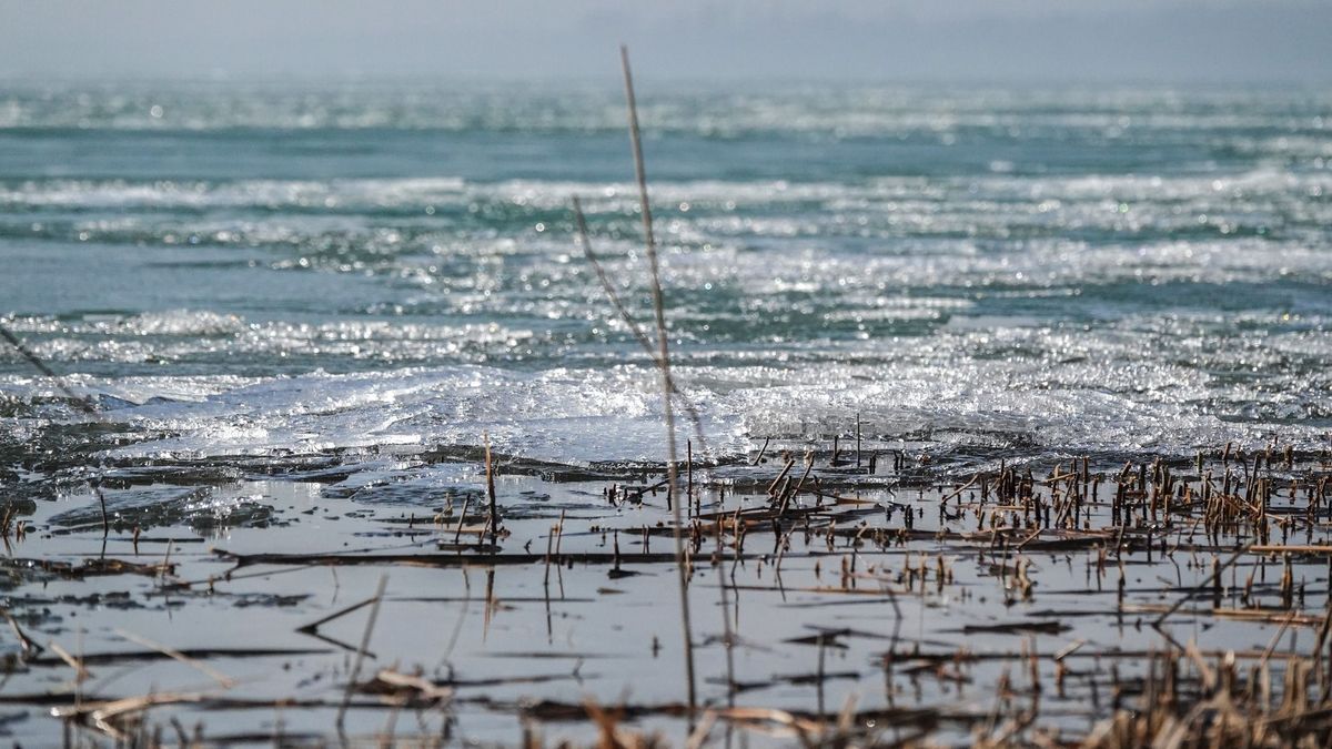 Szörny bukkant fel a Balatonban, lencsevégre kapták a magyar Nessie-t (galéria)