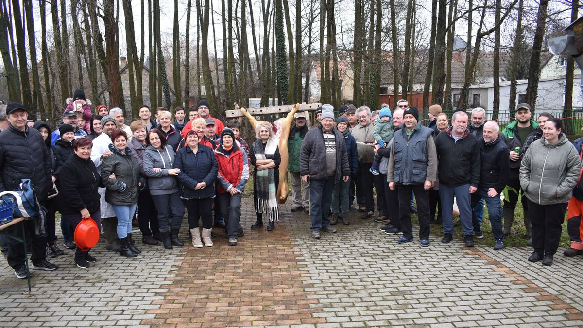 Több mint kétszáz éves rendfán dolgozták fel a disznót Gannán (+galéria)