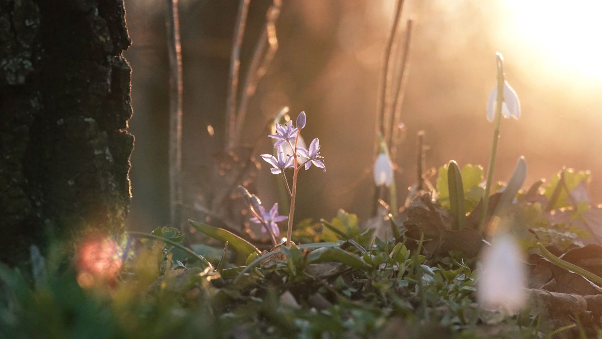 Hideg hajnal, kellemes délután érkezik vasárnap