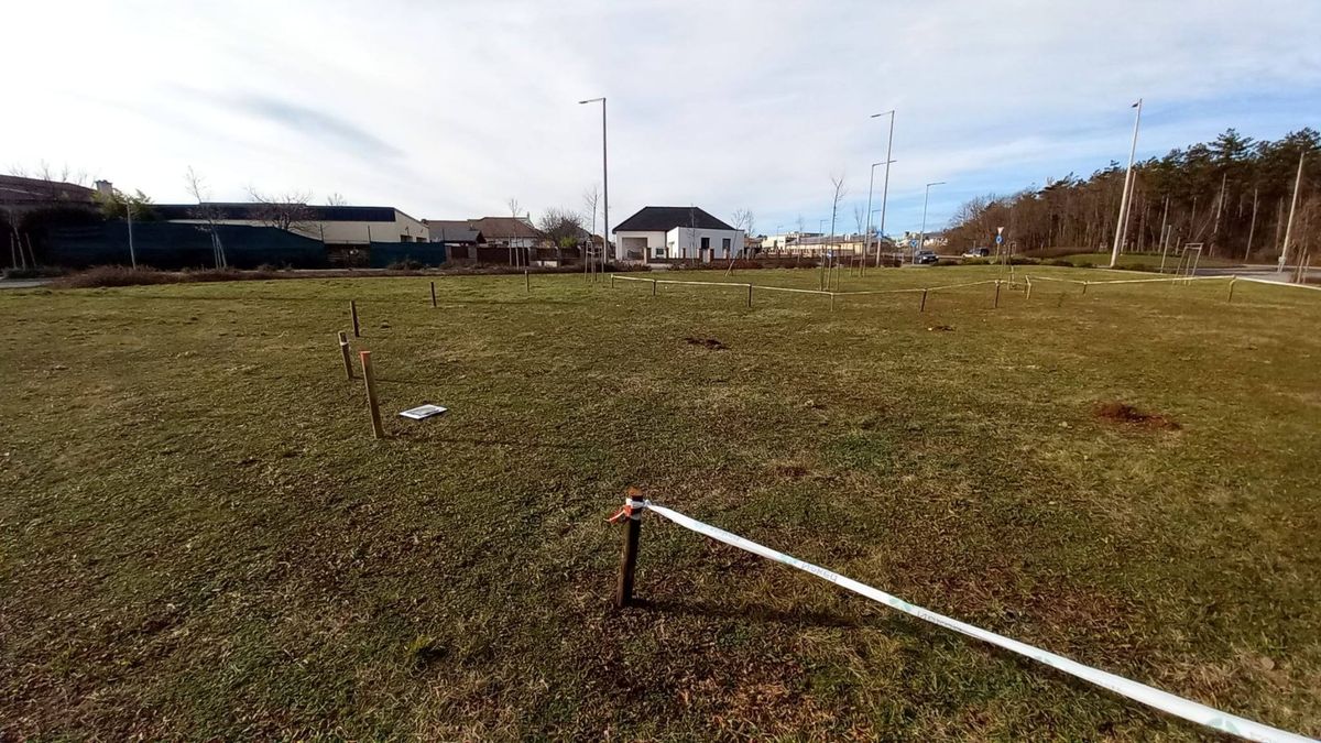 Új minierdő nő Veszprémben – őshonos fák és cserjék kerülnek a területre