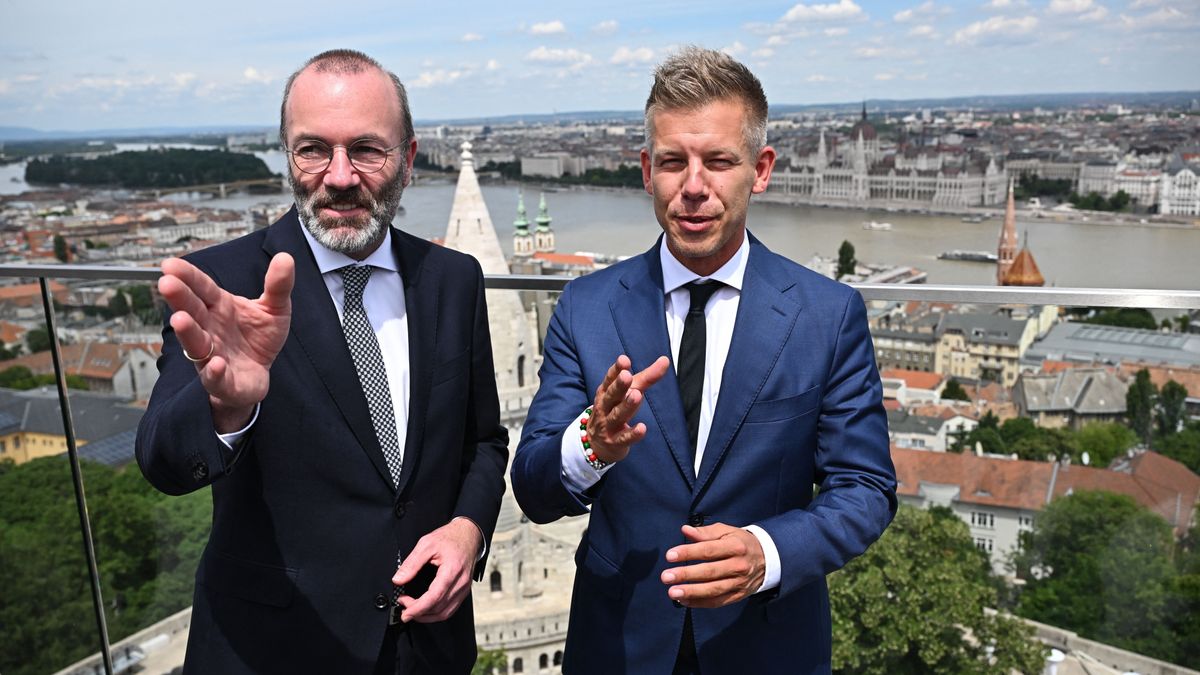 Magyar Péter elköteleződött a Zelenszkij-terv végrehajtása mellett