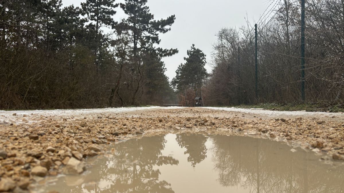 Ónos esővel és széllel indul, esővel folytatódik – változékony nap jön Veszprémben