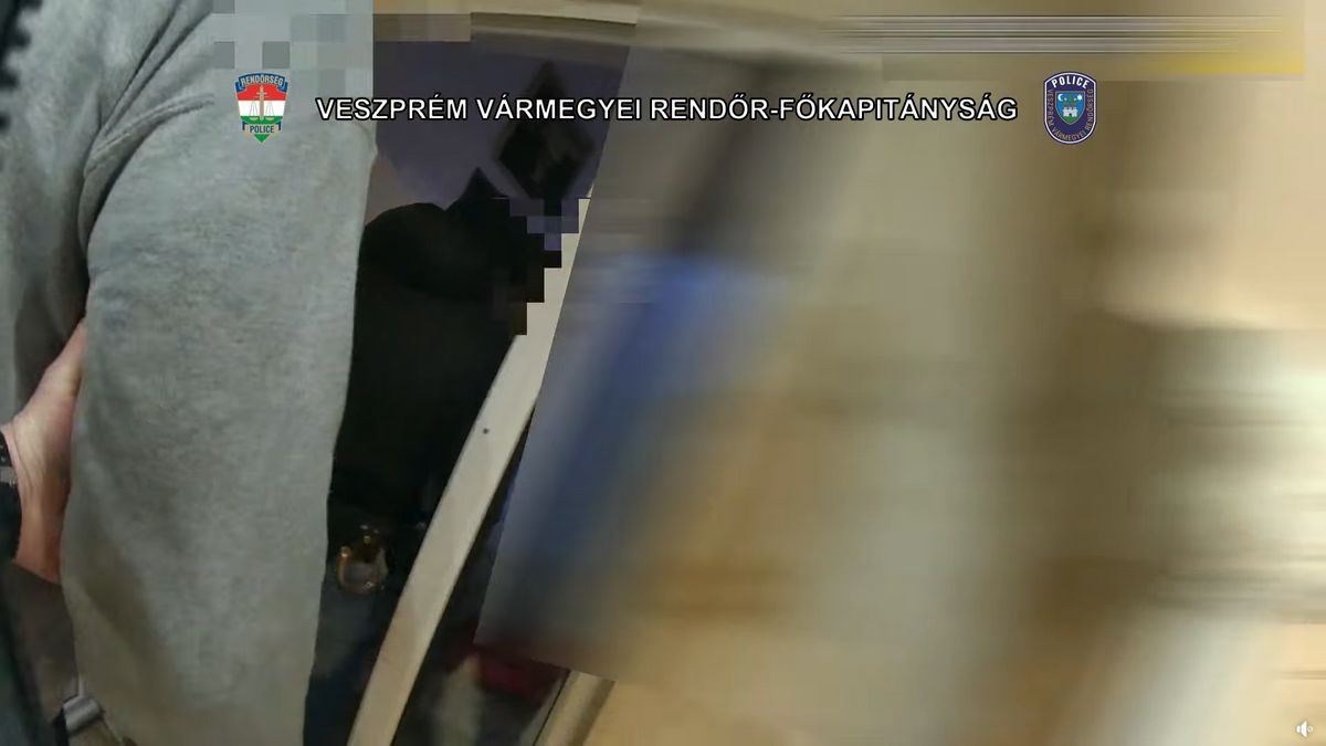 Pápán fogták el a csalás és lopás miatt körözött férfit (videó)