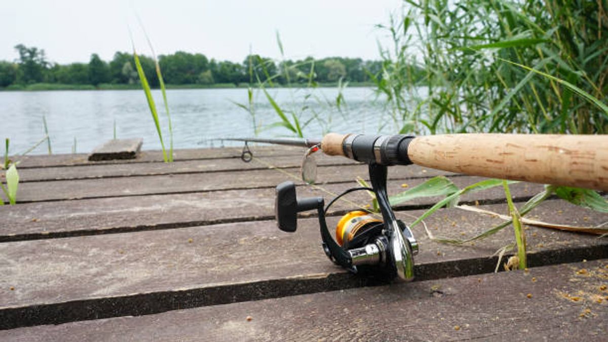 A Sajkodi-öbölben érték tetten az orvhalászt