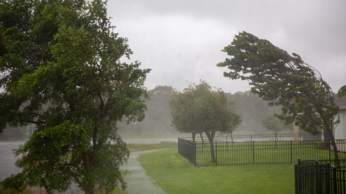 Brutális erejű szél tombolt a Bakony lábánál