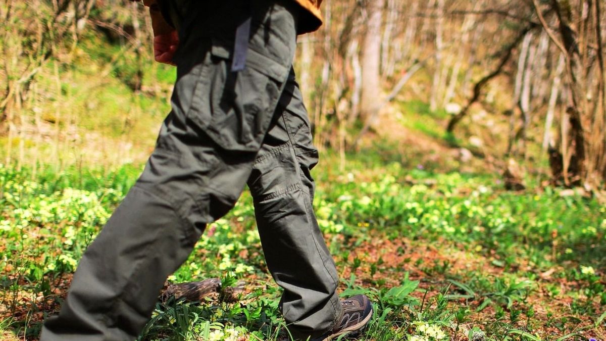 Ezreket várnak a legendás emléktúrára az Öreg-Bakonyba – Kihagyhatatlan tavaszi program