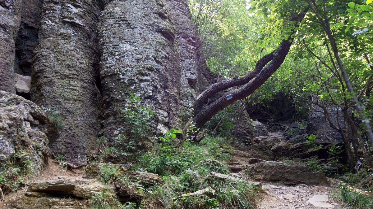 Fejlesztések indulnak a Szent György-hegyen: új lépcsők, ösvények és panoráma