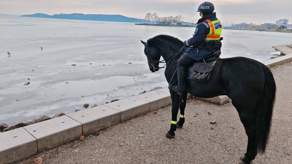 Lovas rendőrök vigyáztak a biztonságra Pápán és Balatonfüreden - ezt mindenkinek látnia kell! (galéria)