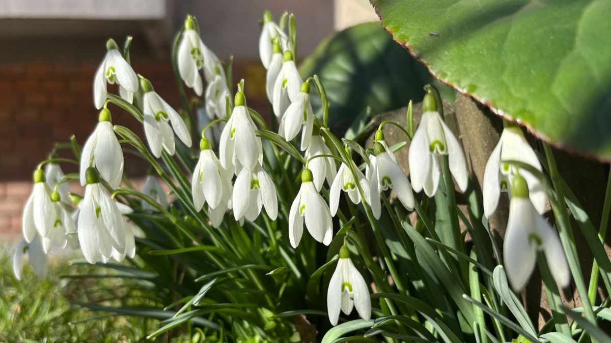 Meglepően enyhe nap jön? Mutatjuk, mit tartogat a mai időjárás Veszprémben