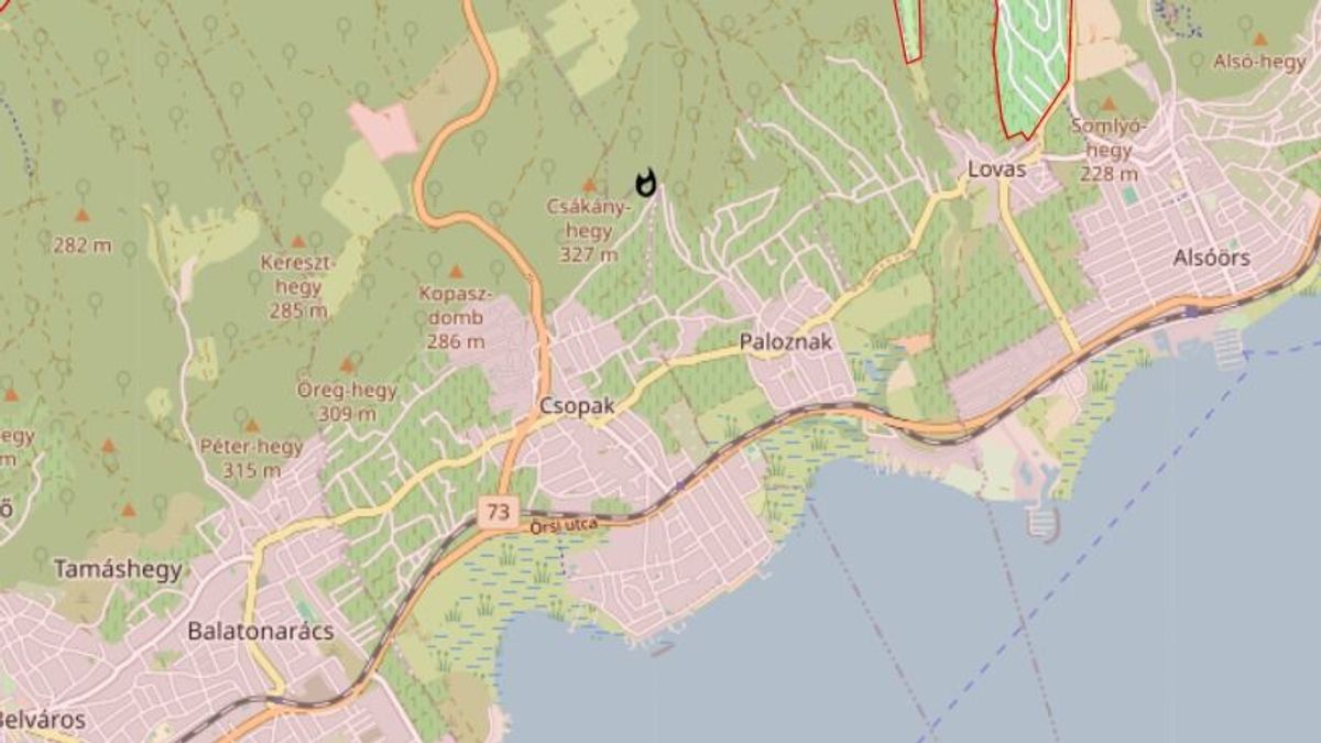 Tűz Csopaknál: egy hektáron ég az aljnövényzet, egy nyaraló tetejét is elérte a tűz