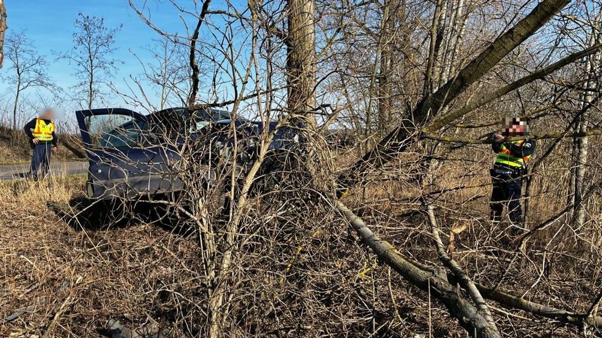 Halálos baleset: fák közé csapódott egy autó vasárnap délután (képek, videó)