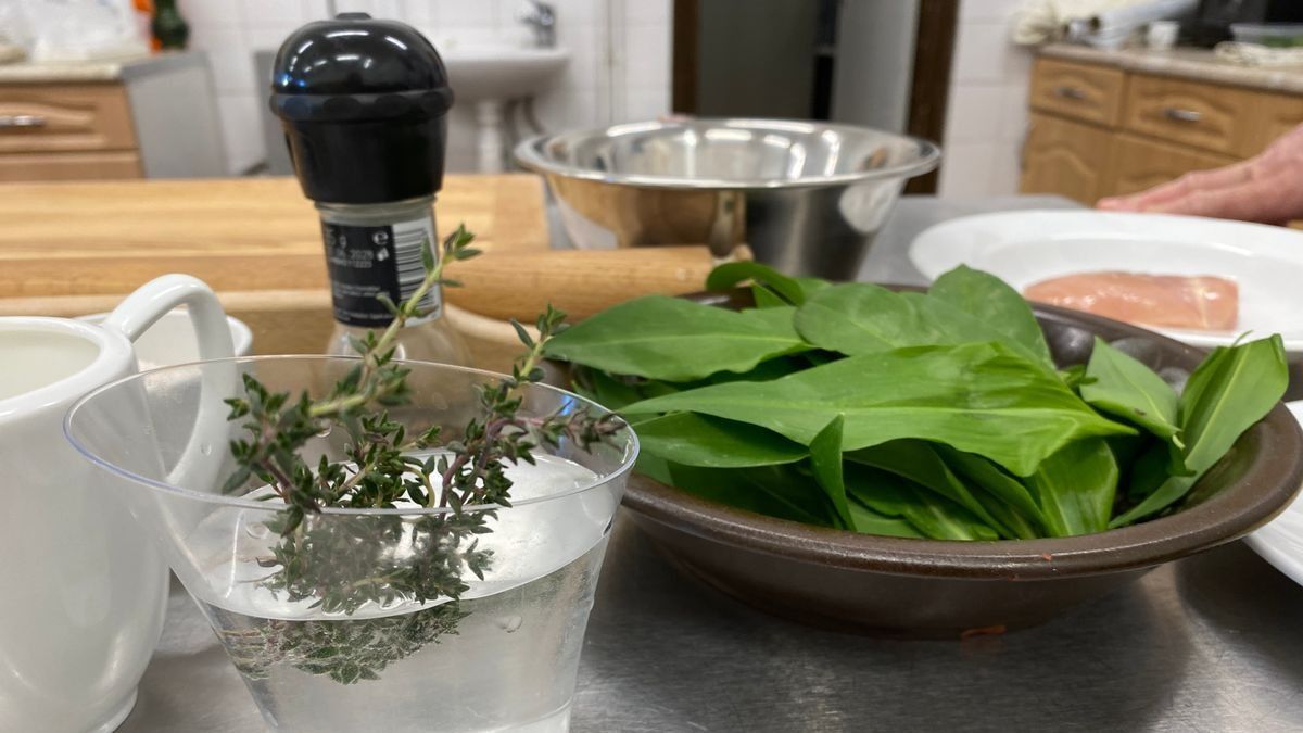 Miért ér aranyat a Bakonyban szedett medvehagyma? Konyhai praktikákat mutatunk (+ receptek)