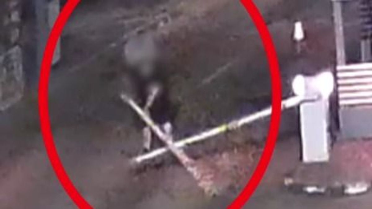 „Fénykardozott” a sorompóval: elképesztő ámokfutás a balatoni révnél (+videó)