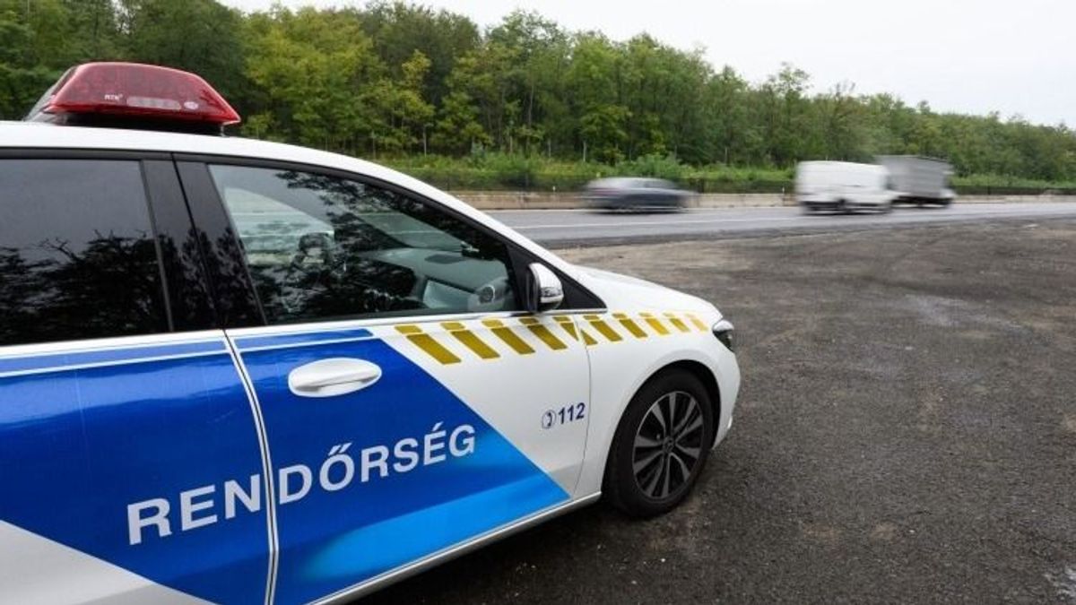 Ha ezt a 7 rendszámot látja Veszprémben, ne habozzon, azonnal tárcsázzon