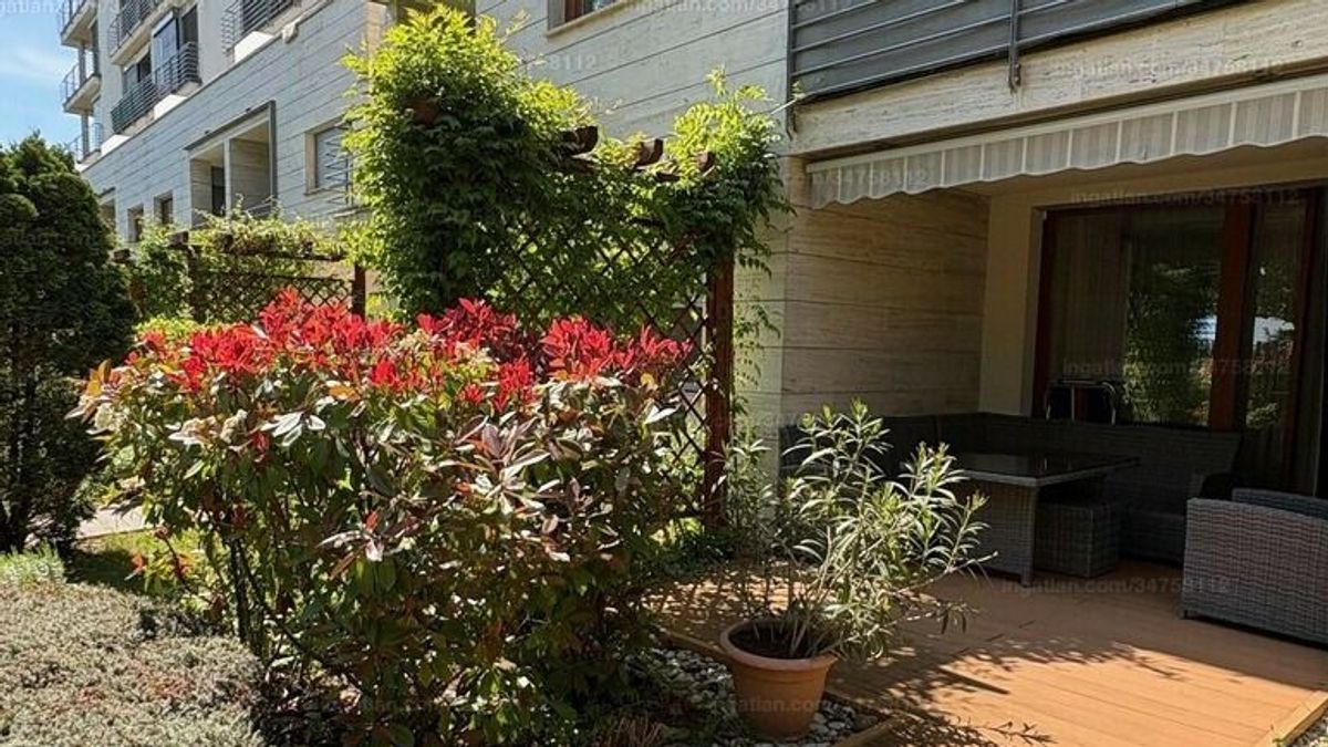 Virágos Balatonfüredért: indul a program, így lehet támogatást igényelni