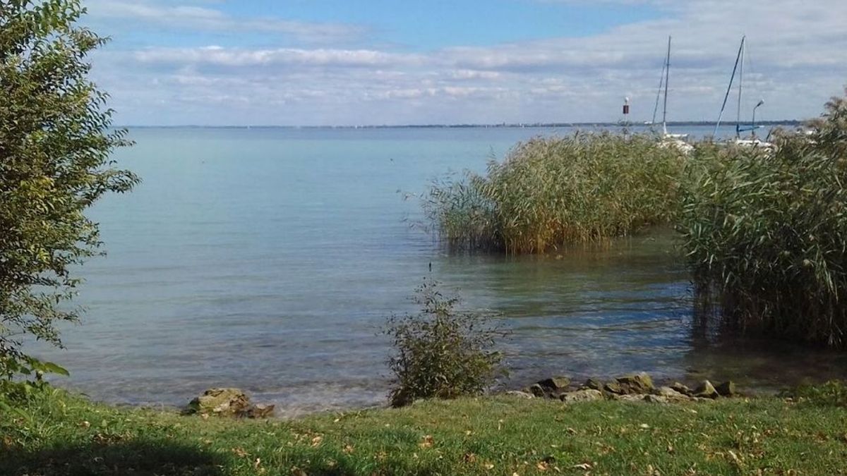 Egy friss kutatás szerint a megkérdezettek többsége egy természetközelibb Balatont szeretne