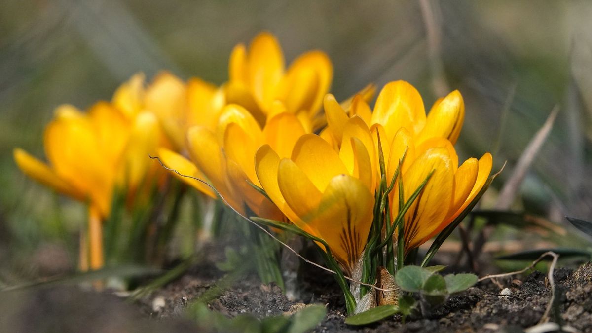 Meglepően alakul a hétvégi időjárás – Mutatjuk, mire számíthatunk ma és nőnapon