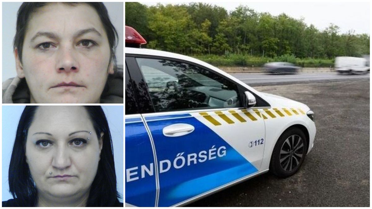 Nyom nélkül tűntek el: két nő után indult hajtóvadászat Veszprémben