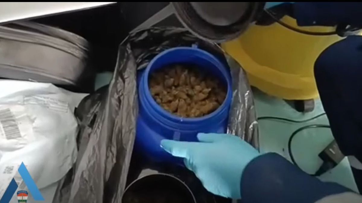 Gombászás közben talált hordó vezette el a rendőröket a drogdílerhez (videó)